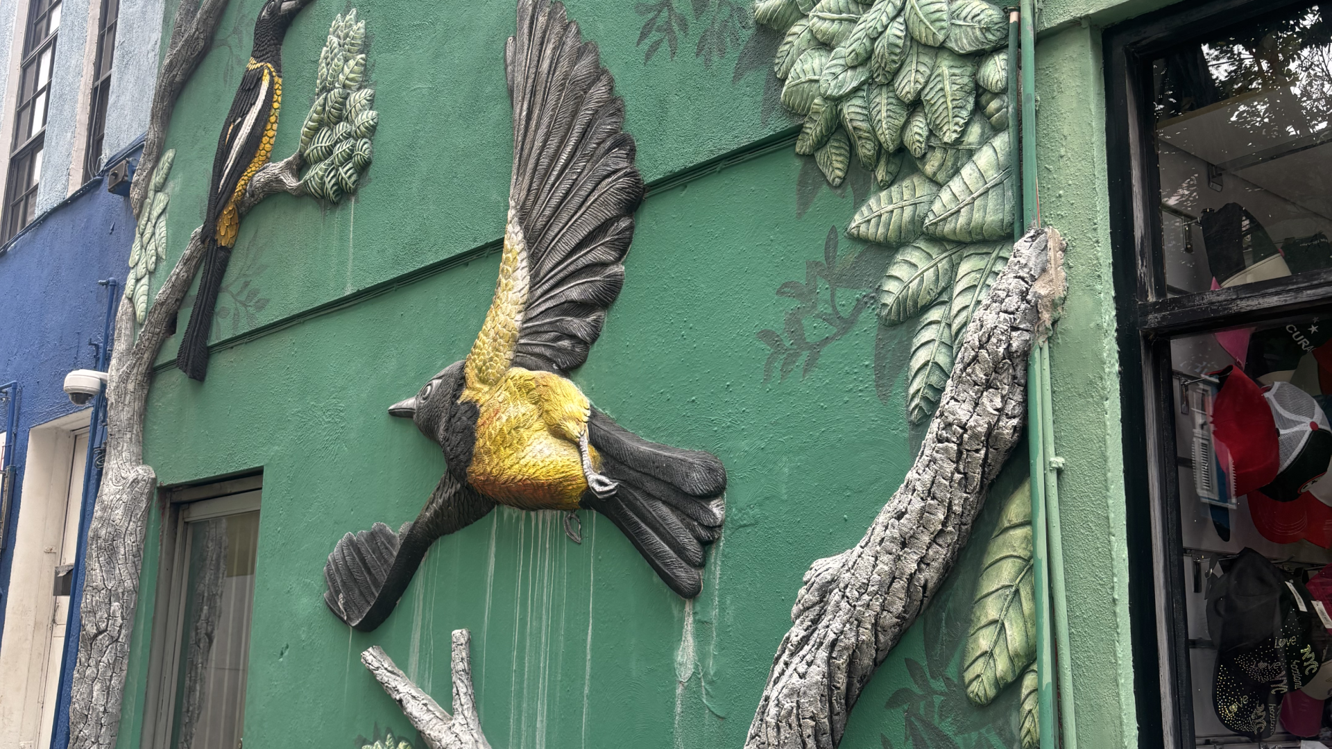 Dia 6 - Partiu Pietermaai